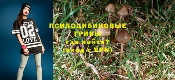Альфа ПВП Белокуриха